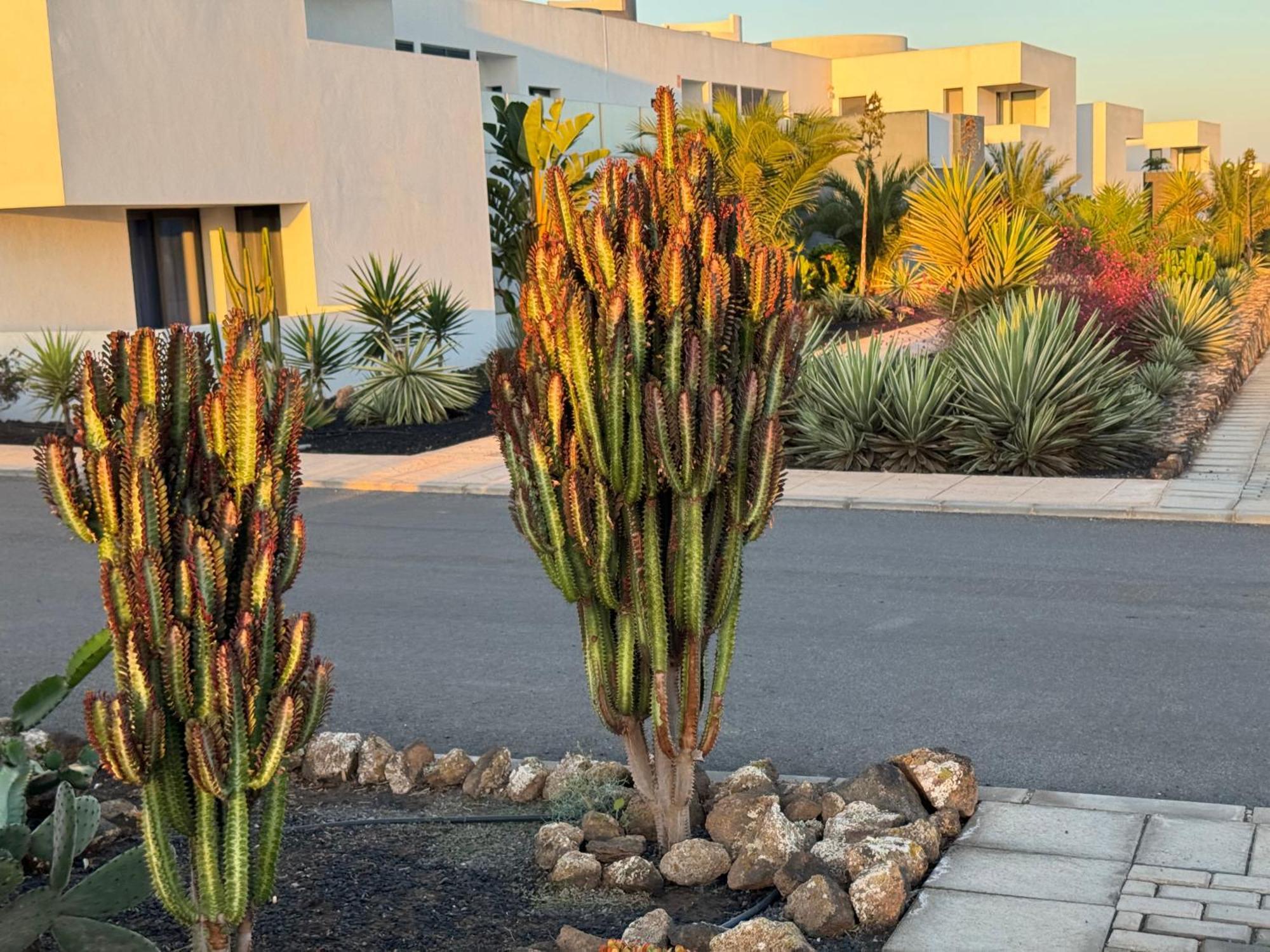 Casa Ana - Luxury Pool Apartment At Casilla De Costa Villaverde  エクステリア 写真